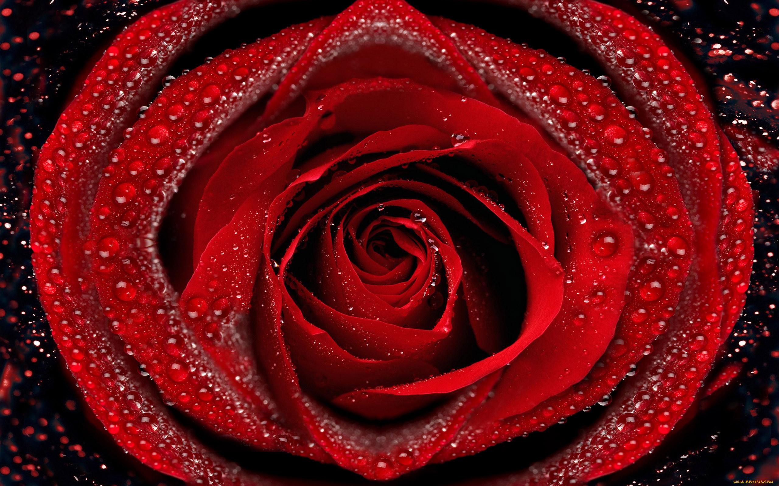 , , , , , , 
